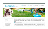 Bulldogs