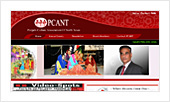 Punjabi Culture Association Of North Texas